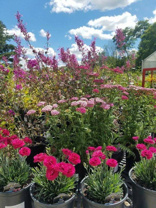 The Greensmith Landscaping CO., Landscaping and Gift Shop, Co. Hinckley