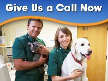 Animal Care Services - Hardin, MT - Animal Care Center