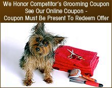 Pet Grooming Service - Temple, TX - All Breed Grooming By Lori - dog trimming - We Honor Competitor's Grooming Coupon See Our Online Coupon - Coupon Must Be Present To Redeem Offer