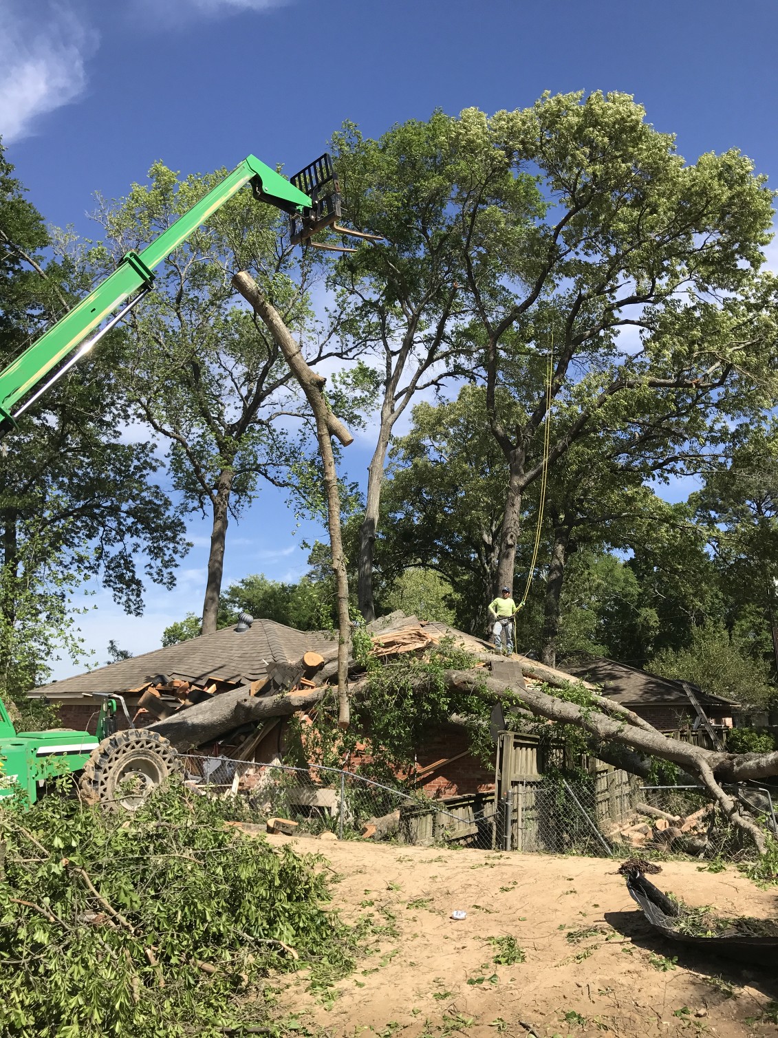Rodriguez Tree Service Tree Care Tree Trimming Tree Service Tyler, TX