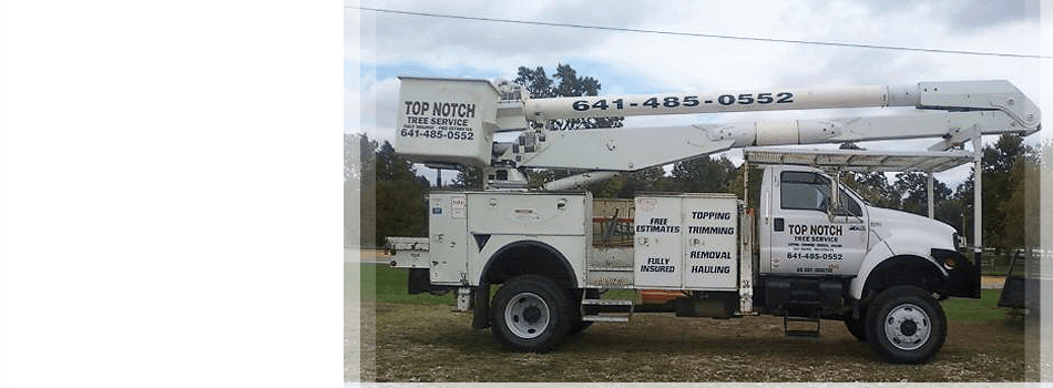 top notch tree service fredericksburg va see what our customer are saying about us top notch tree service testimonials marshalltown ia top notch tree service fredericksburg va see what our customer are saying about us top notch tree service testimonials marshalltown ia