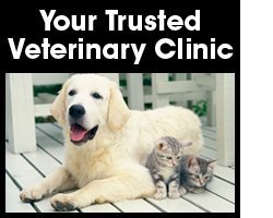 Veterinary Center - Mount Vernon, WA - Cedardale Neuter & Vaccination Clinic