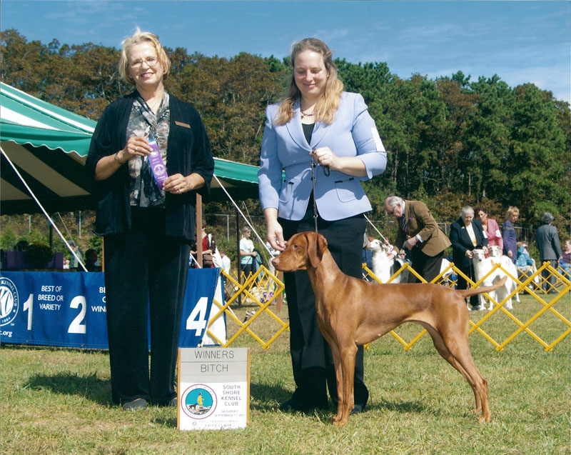 Angel Paws Pet Parlor & Supplies