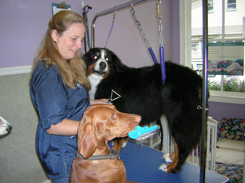 Angel Paws Pet Parlor & Supplies