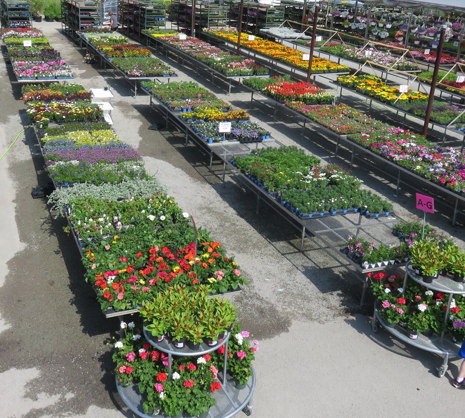 Laurel Nursery/Garden Center Inc Garden Store Latrobe PA
