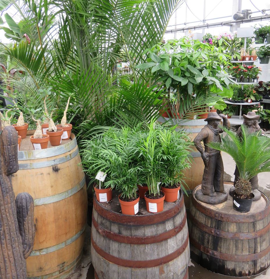 Laurel Nursery/Garden Center Inc | Garden Store | Latrobe PA