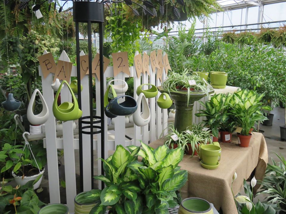 Laurel Nursery/Garden Center Inc Garden Store Latrobe PA