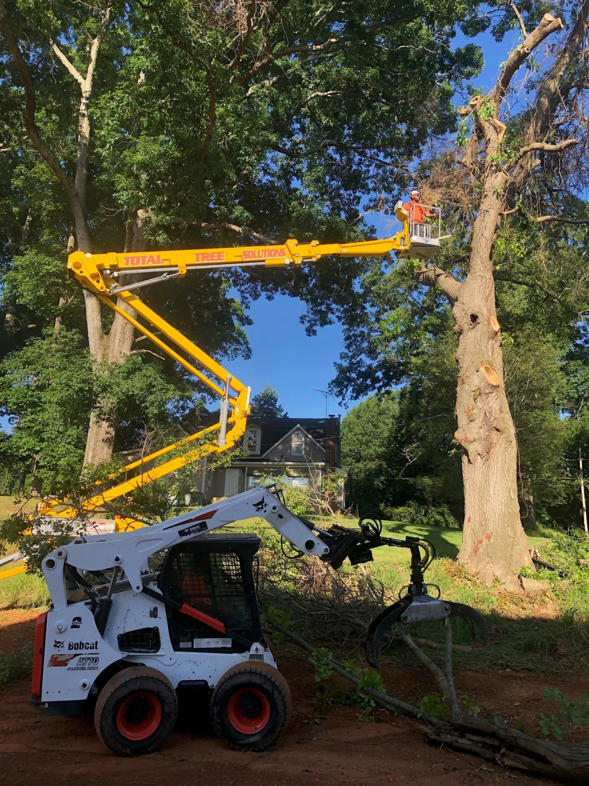 Total Tree Solutions Inc | Tree Removal | McDonough, GA