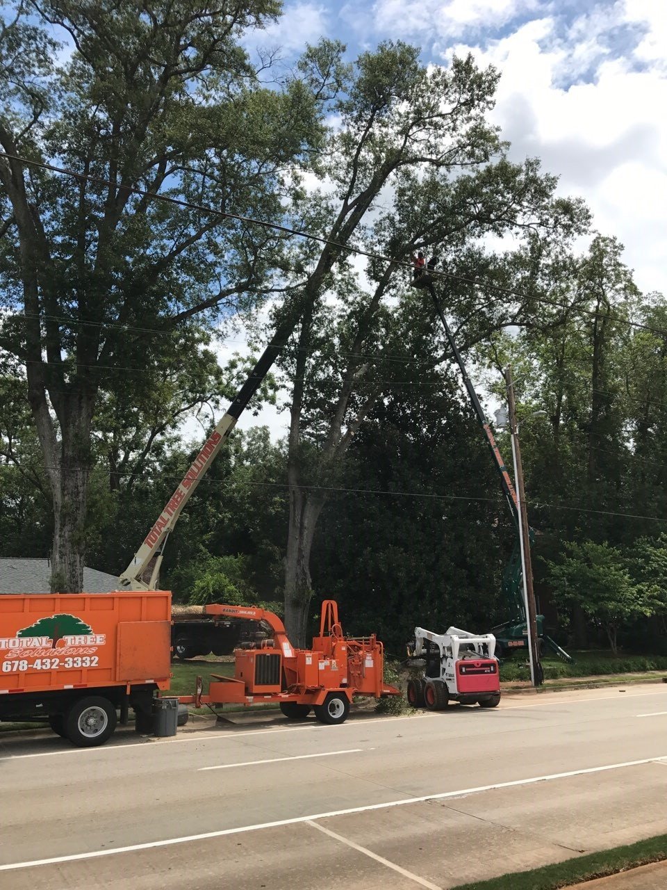 Total Tree Solutions Inc | Tree Removal | McDonough, GA