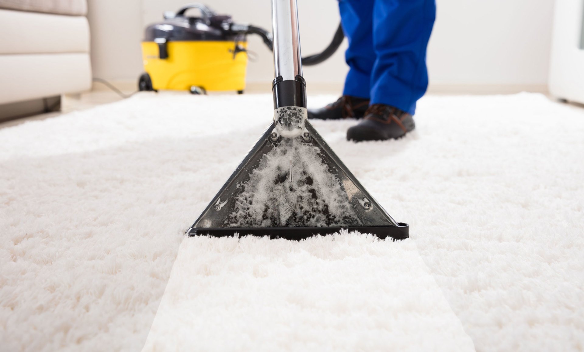 Advantage Carpet & Upholstery Cleaning LLC Greenville, MI