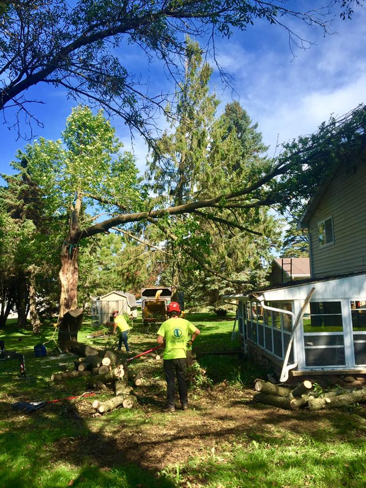 Tree Removal Stump Grinding Kimberly, WI Appleton WI