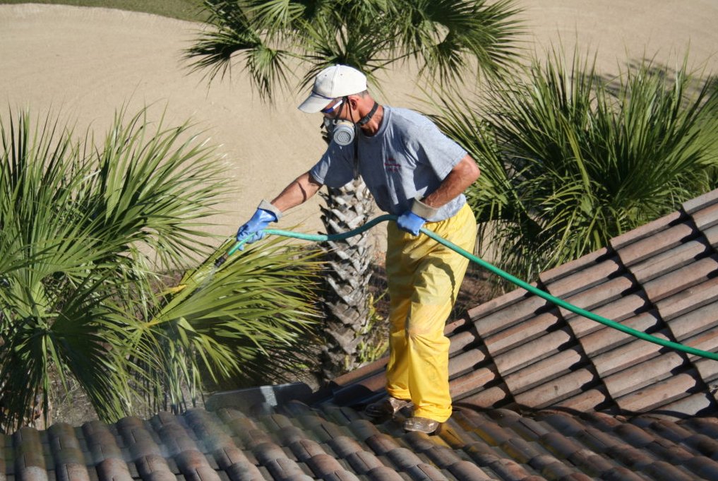 Soft Washing Pressure Cleaning Naples, FL