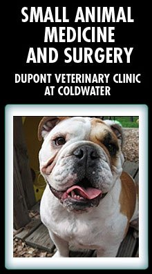 veterinarian fort wayne in