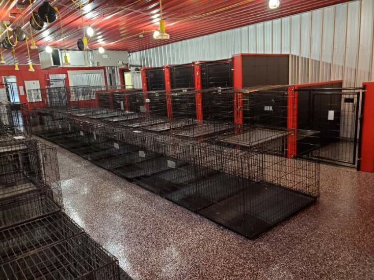 Dog Boarding Dog Kennel Greenwood, IN