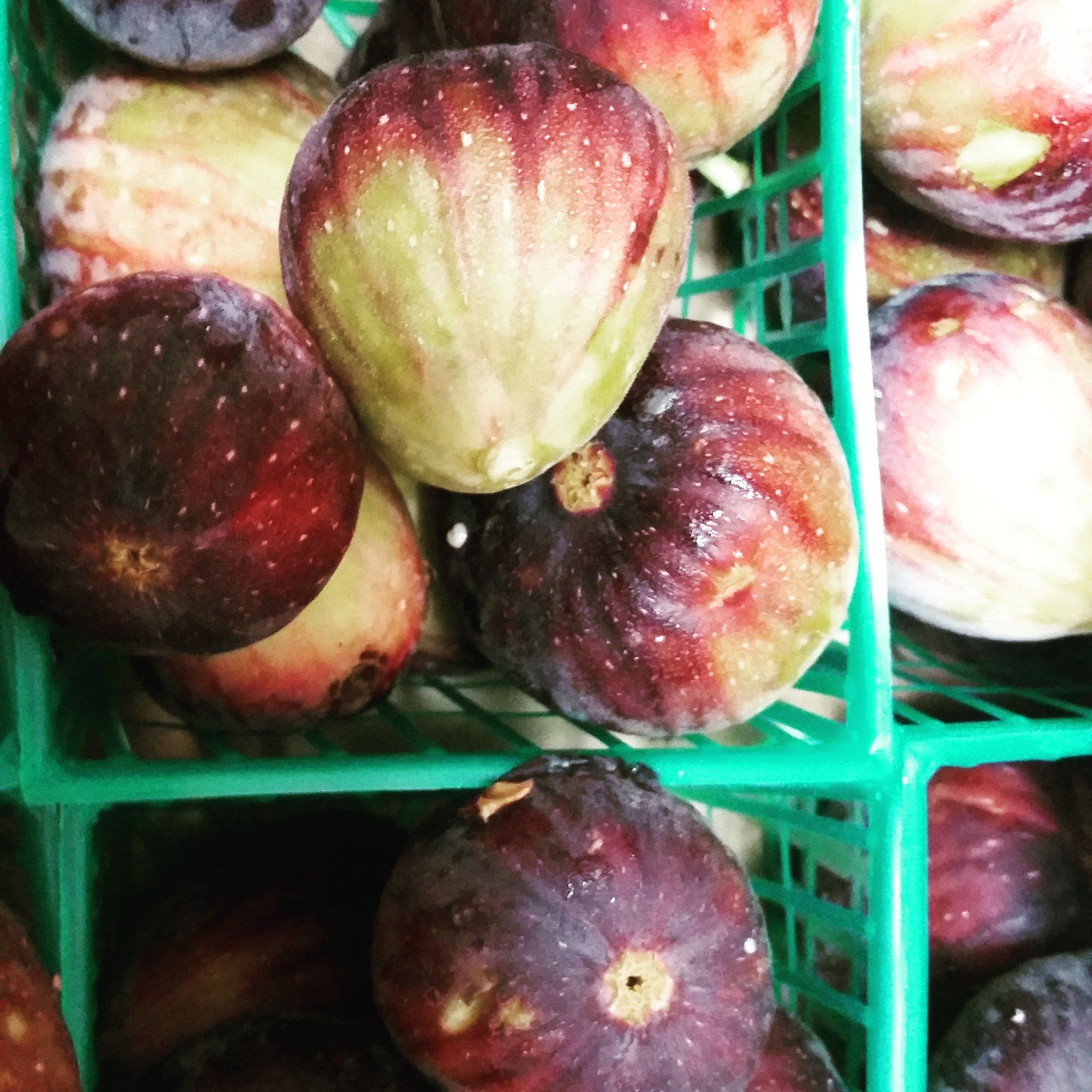 Produce Vegetables Springfield, IL