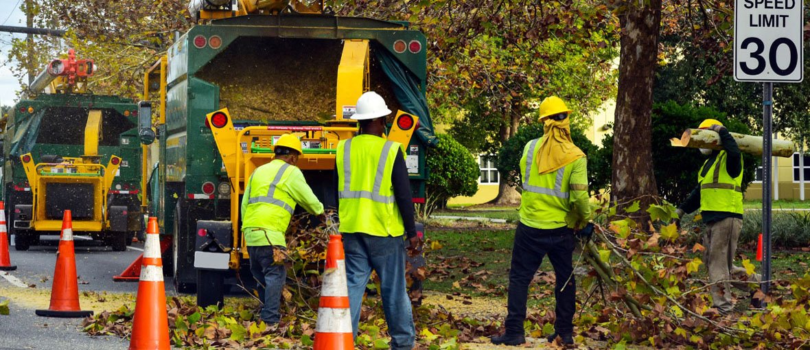 Fine Cut Tree Services Landscaping Bradenton, FL