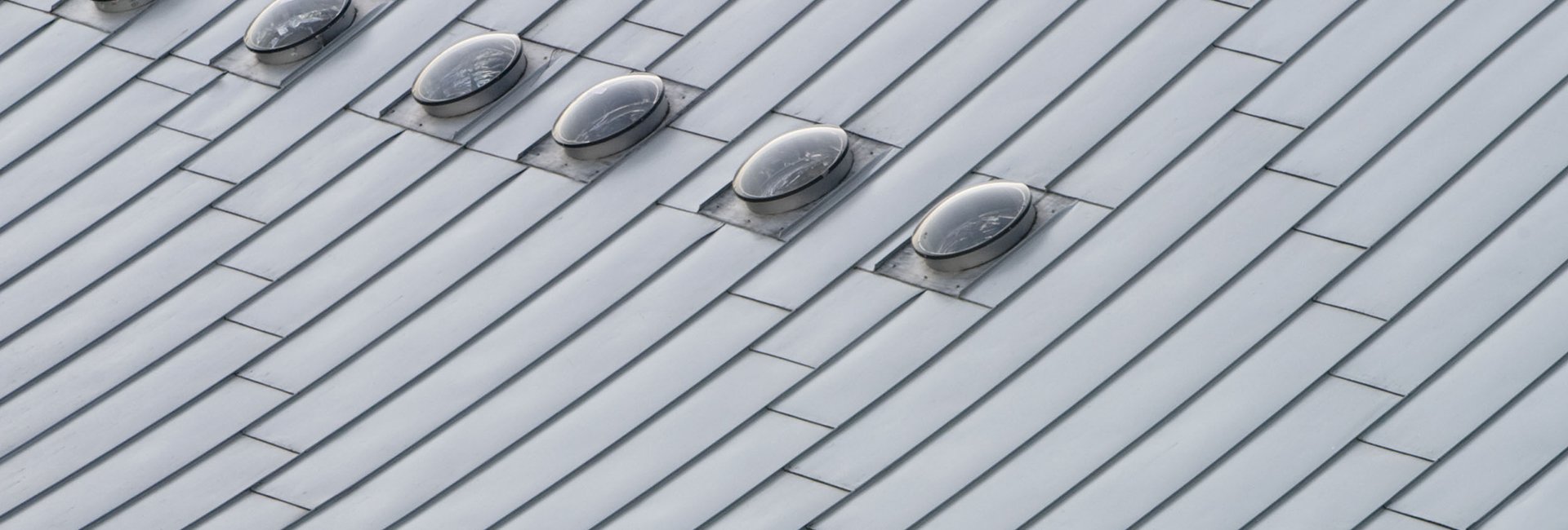 Rain Guard Roofing Shingles Charlottesville, VA