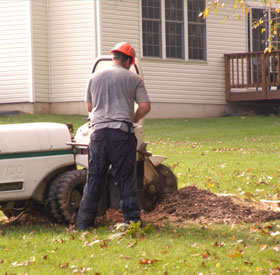 stump maryland economy grinding