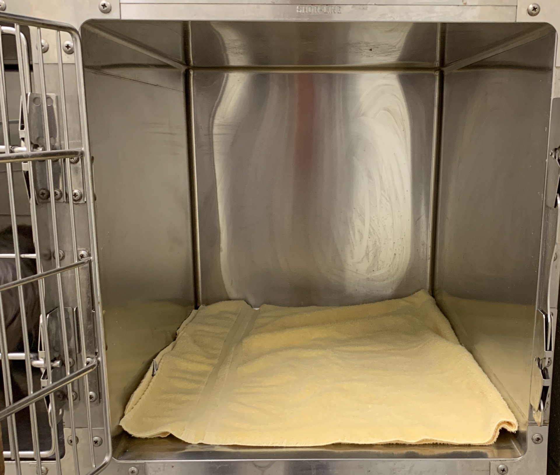 Pet Boarding Alexandria VA Hayfield Animal Hospital