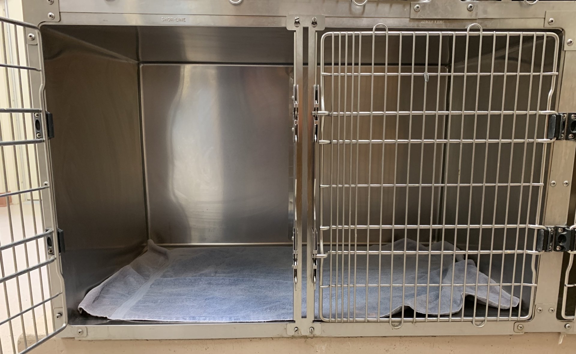 Pet Boarding Alexandria VA Hayfield Animal Hospital