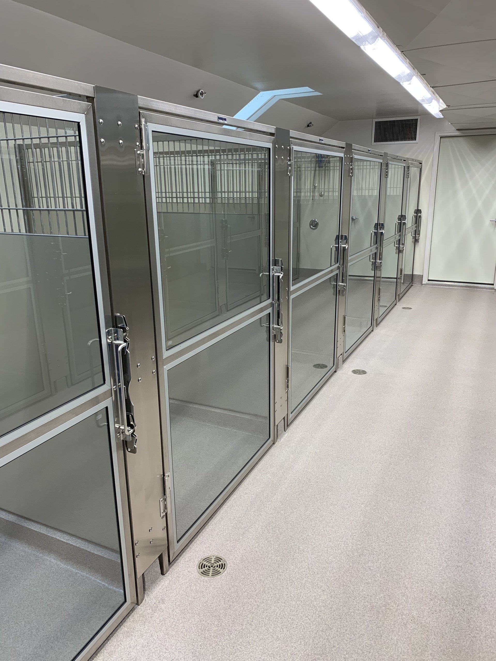 Pet Boarding Alexandria VA Hayfield Animal Hospital