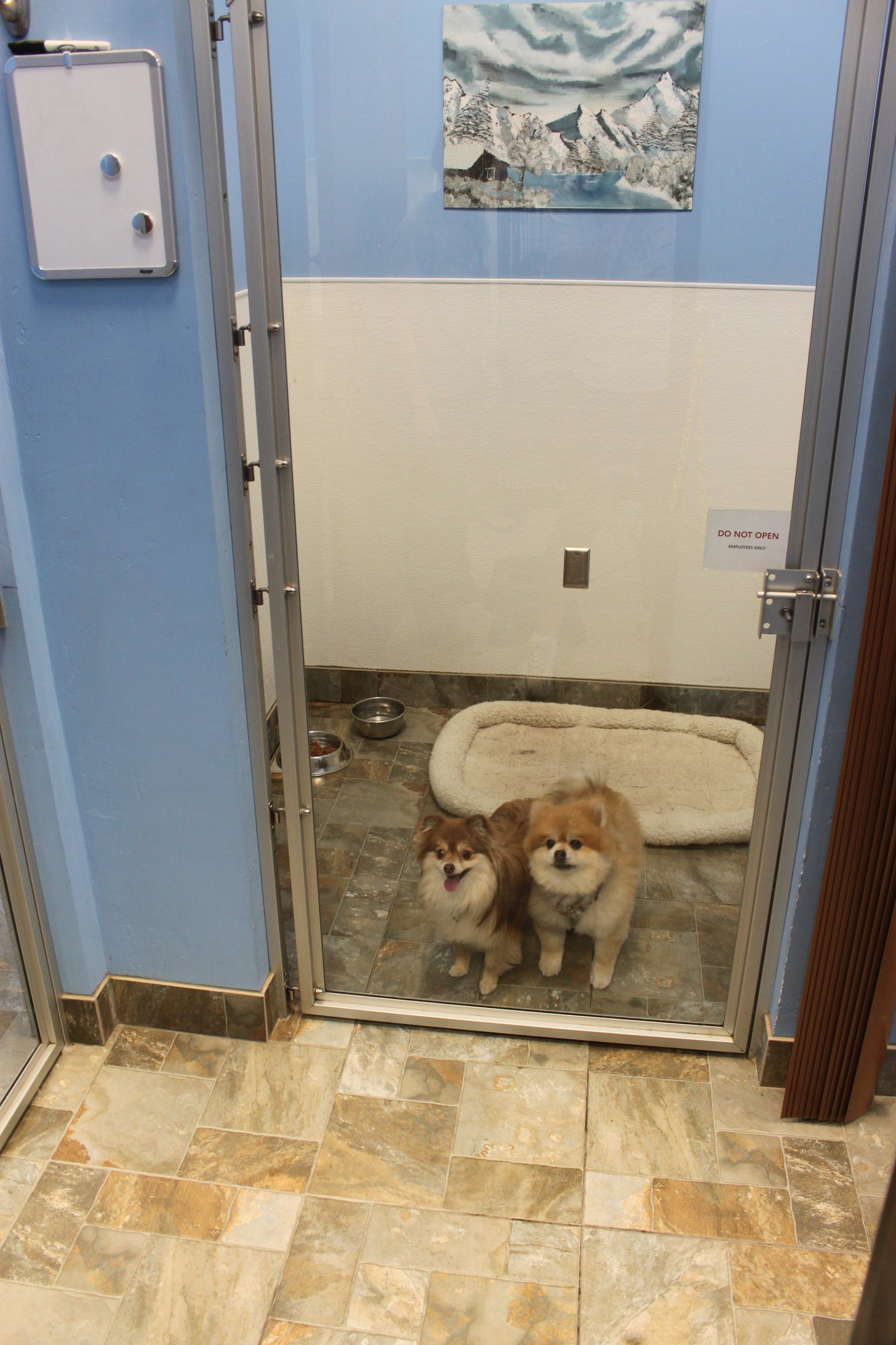 Kimbur Pet Wash & Suites