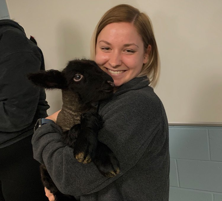 Cool Review About Murfreesboro Animal Control