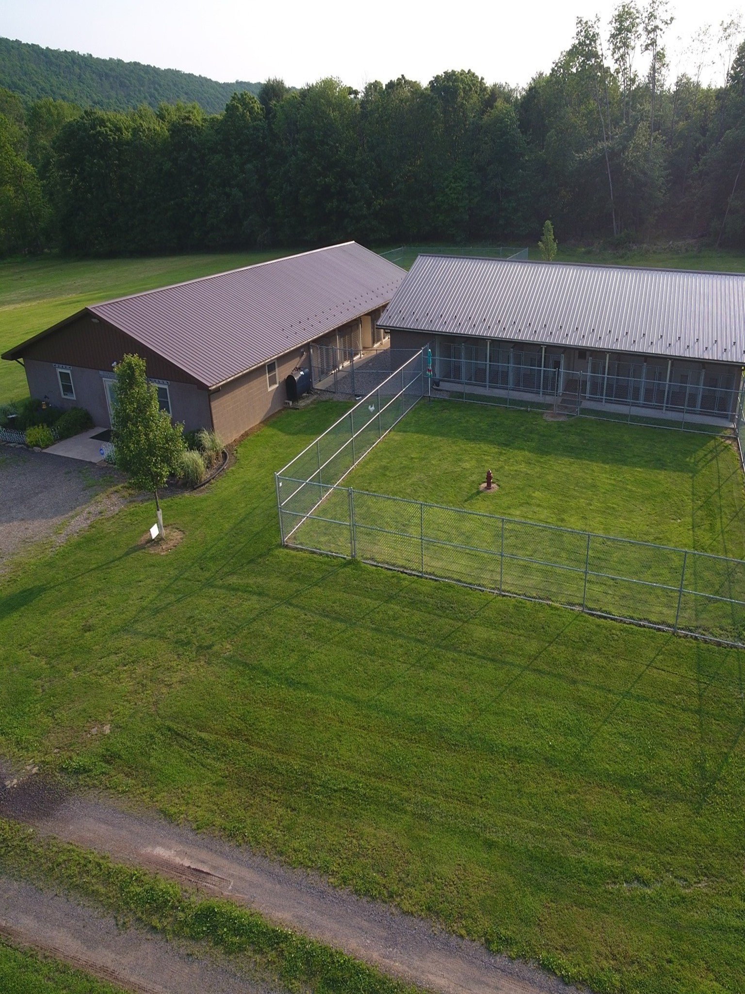 Pet Boarding Services Pet Boarding Services Bloomsburg, PA