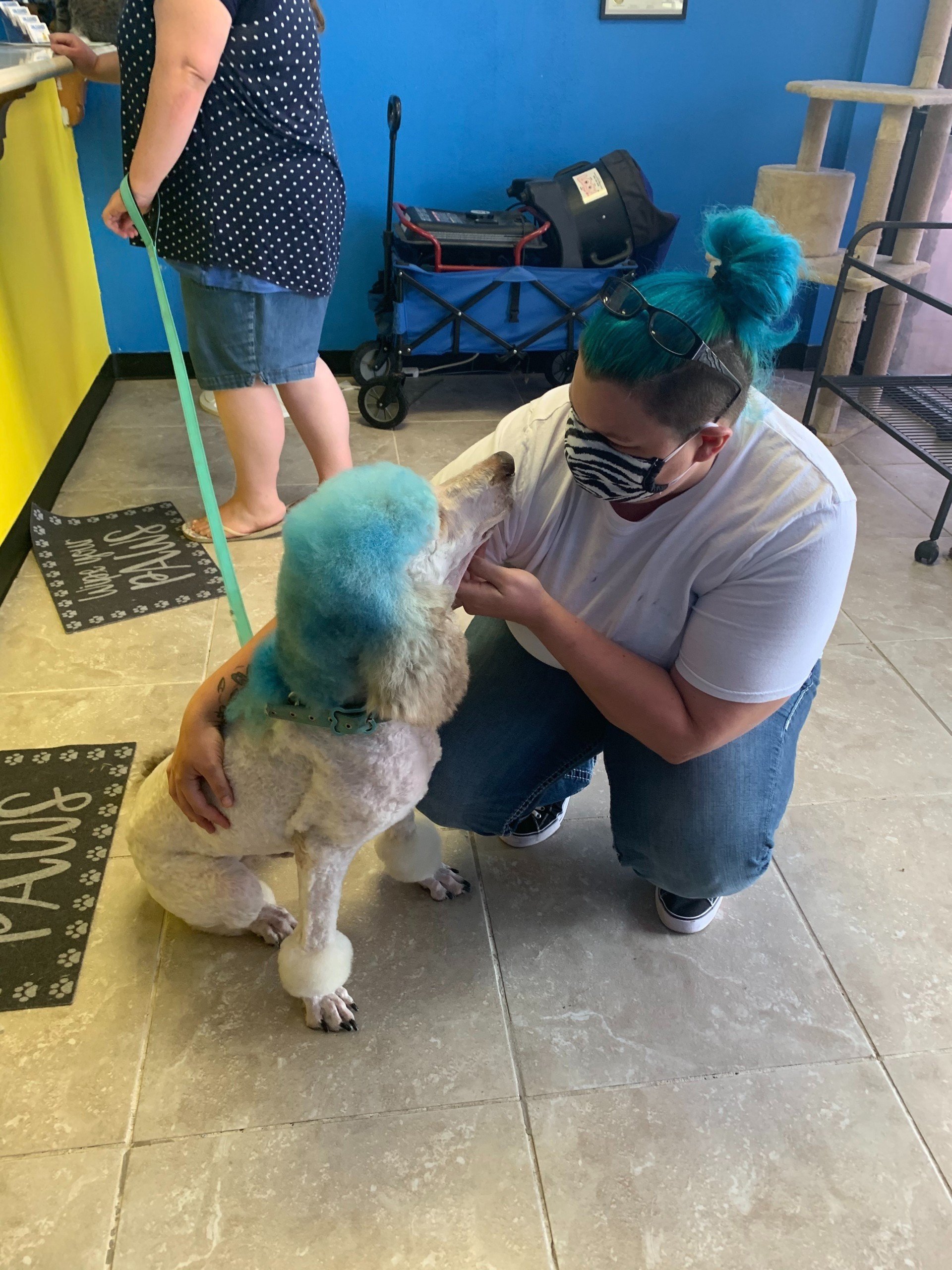 Unleashed Pet Grooming School Photo Gallery Oklahoma City, OK