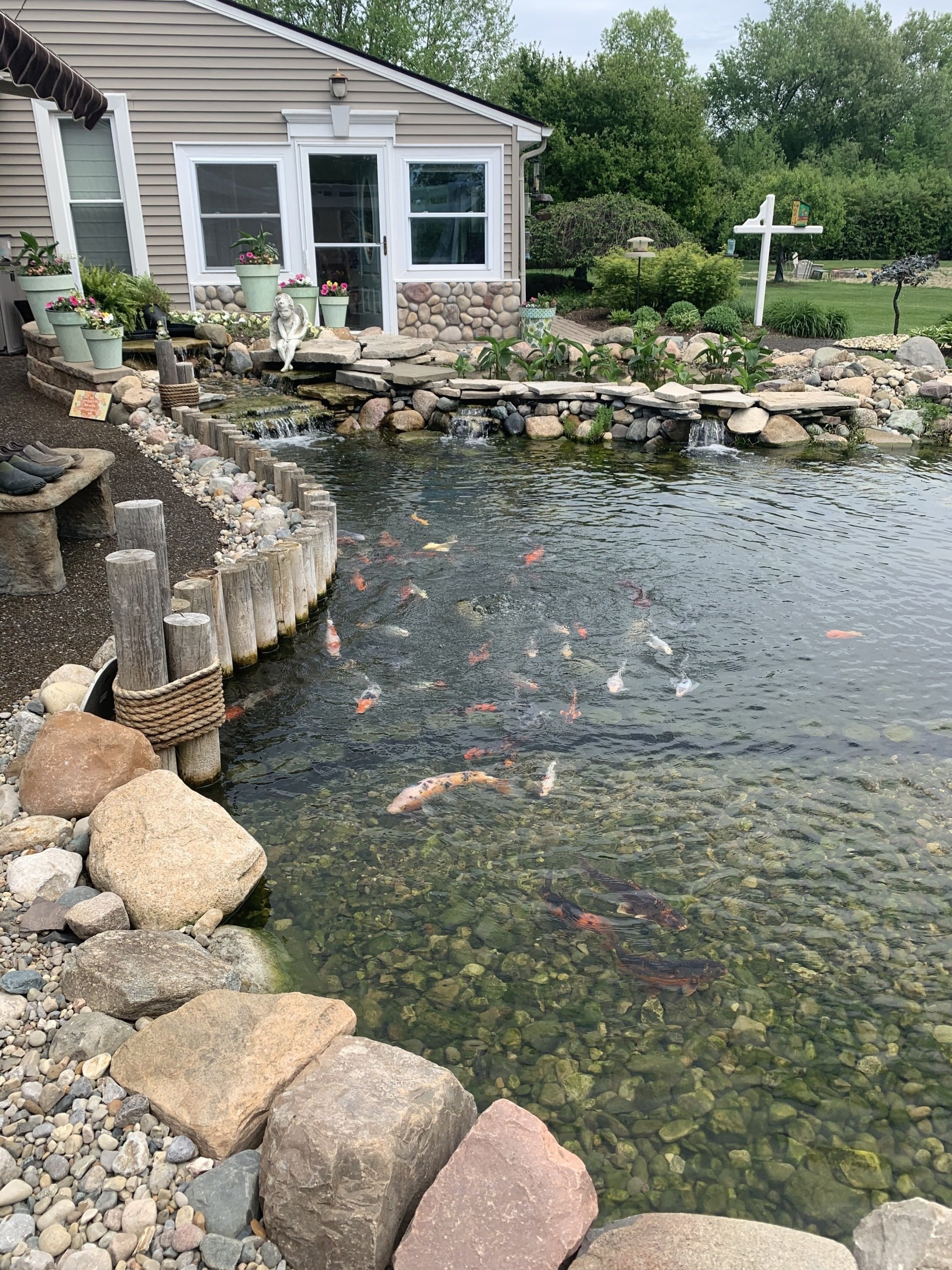 Backyard Oasis Pond & Garden Center Flint, MI