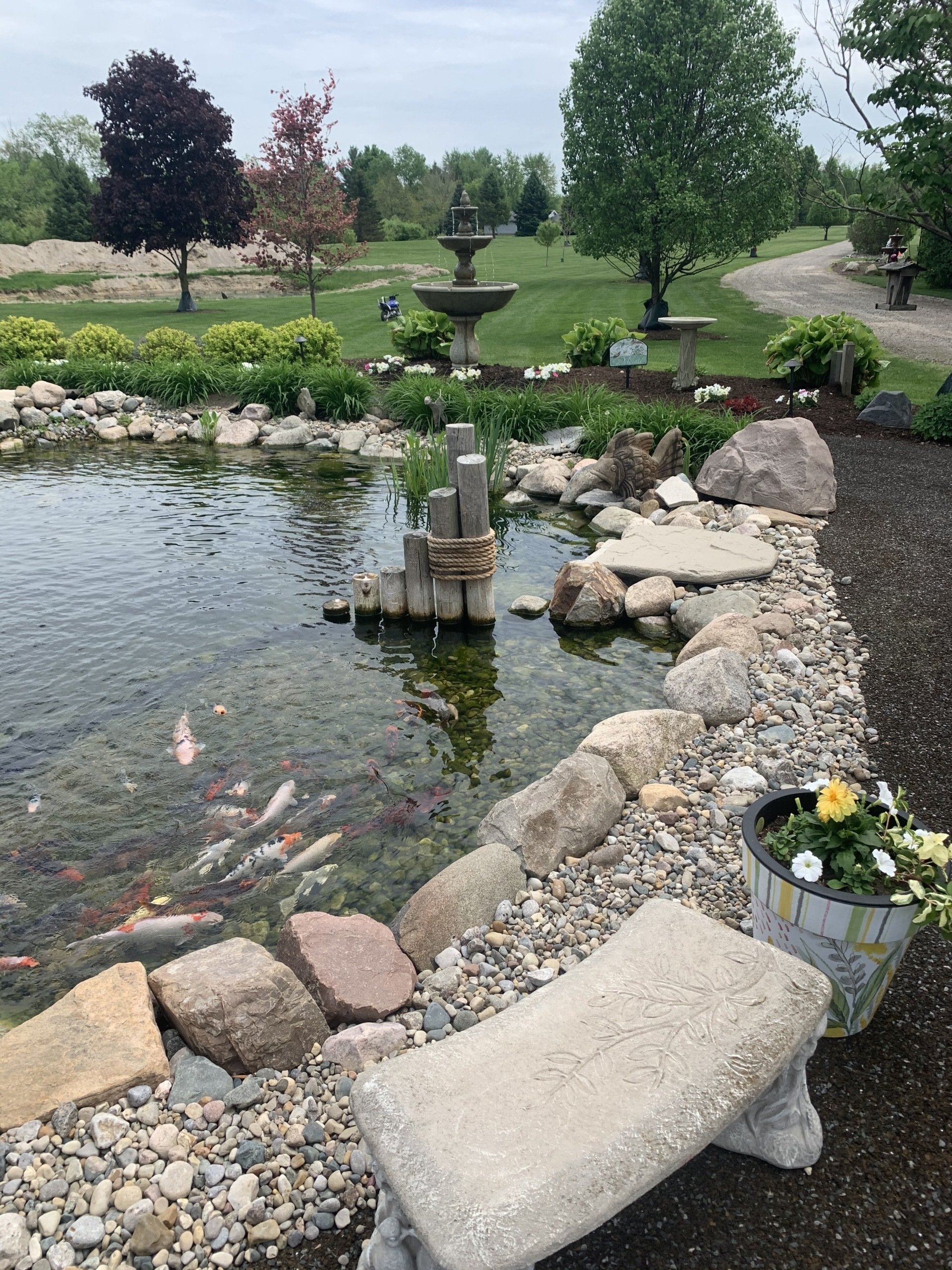 Backyard Oasis Pond & Garden Center Flint, MI