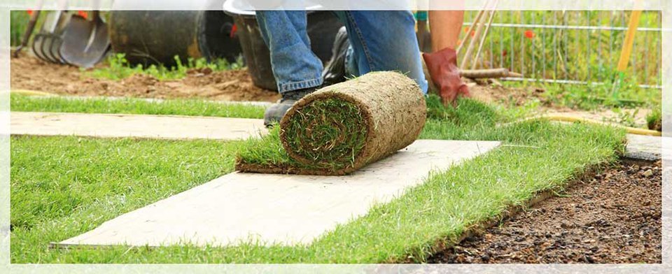 Mulching Services Sod Installation Grayslake Il Affordable Sod And Mulching Services