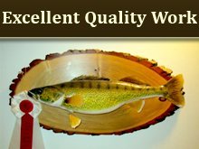 Animal Stuffing - Lake Leelanau, MI - Fur-Fish-Game Taxidermy