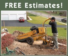 Tree Services - Effingham, IL - Willie & Walker's Tree Service