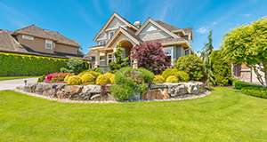 Beautiful house and lawn