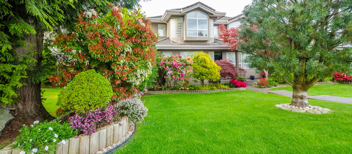 Beautiful lawn with trees and flowers