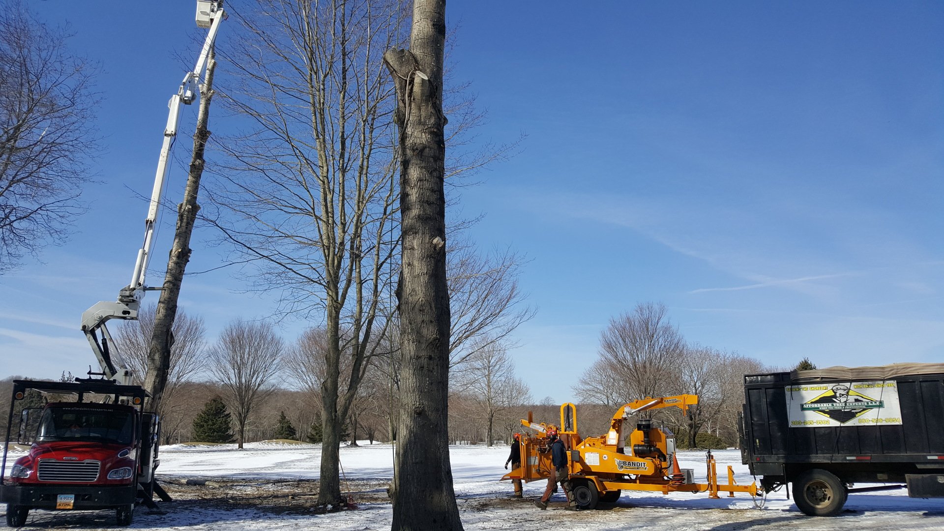 Affordable Tree Experts LLC Tree Service Madison, CT