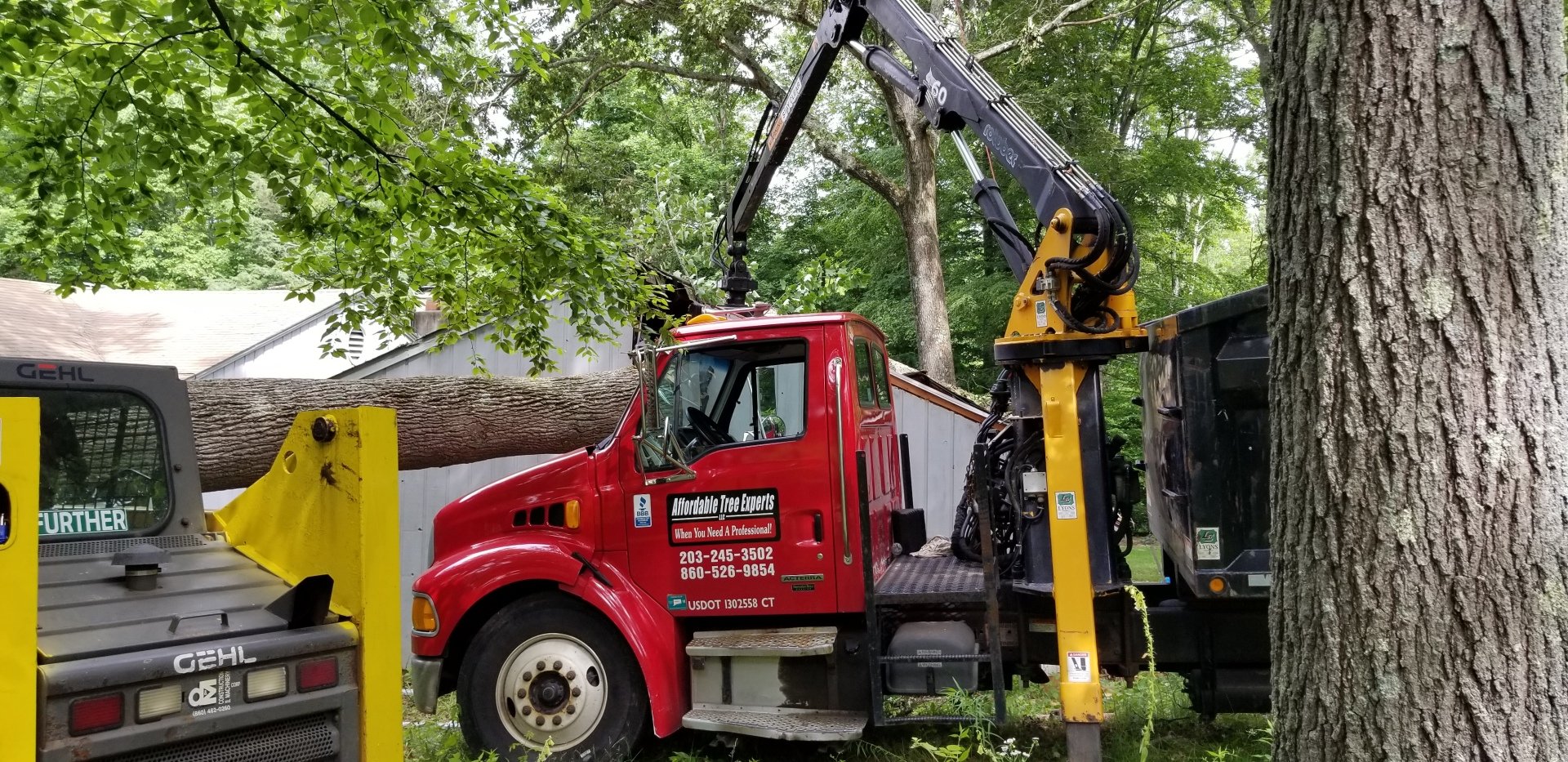 Affordable Tree Experts LLC Tree Service Madison, CT