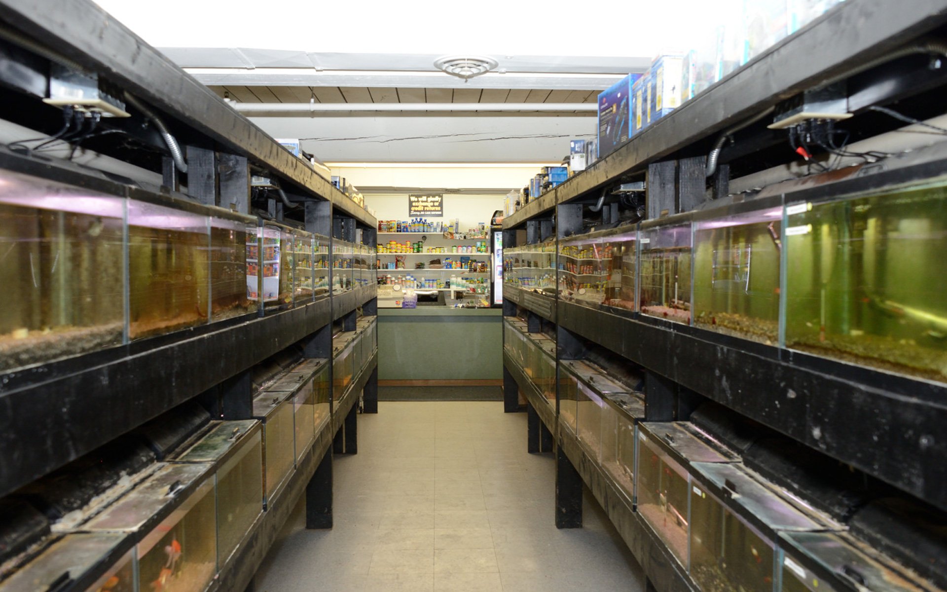 Wild Things Pet Shop