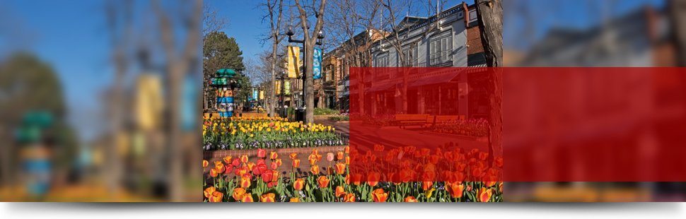 Boulder Moving Llc Moving Company Boulder Co