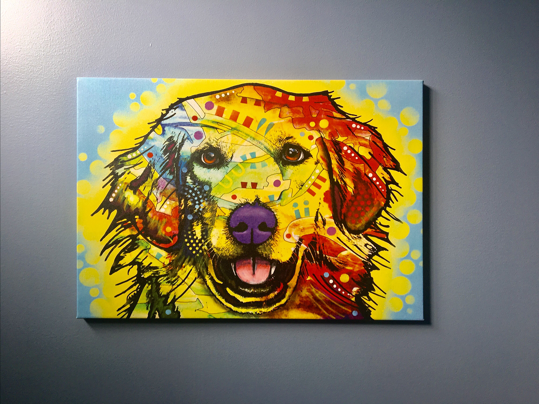 Queens Midway Animal Hospital Veterinarian Flushing