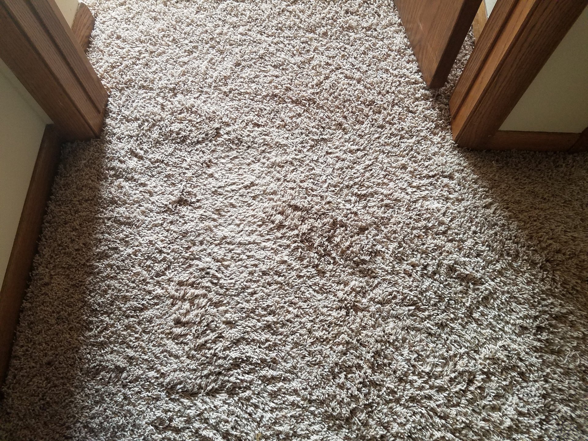 Gallery Haines Carpet Service Des Moines, IA