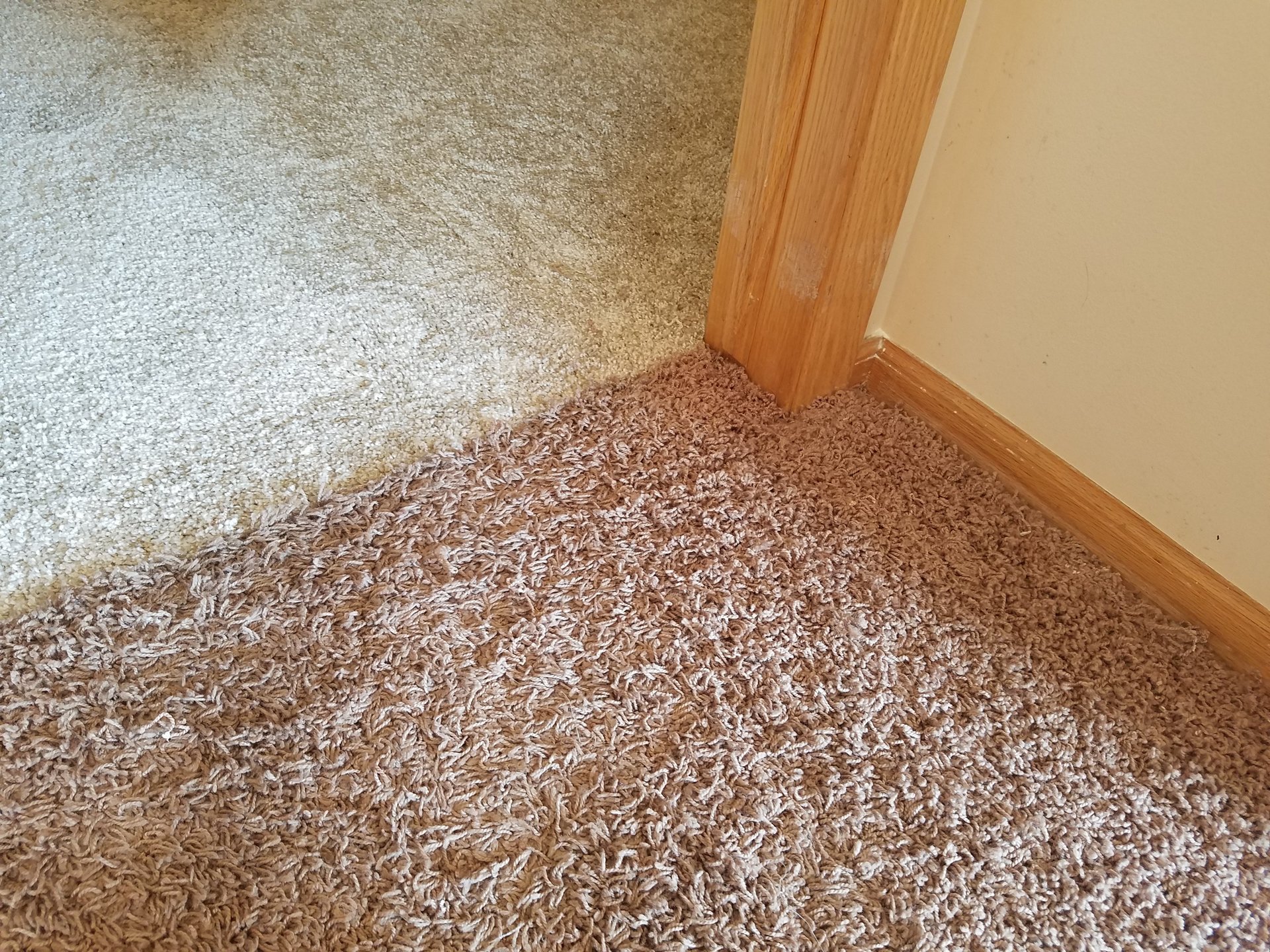 Gallery Haines Carpet Service Des Moines, IA