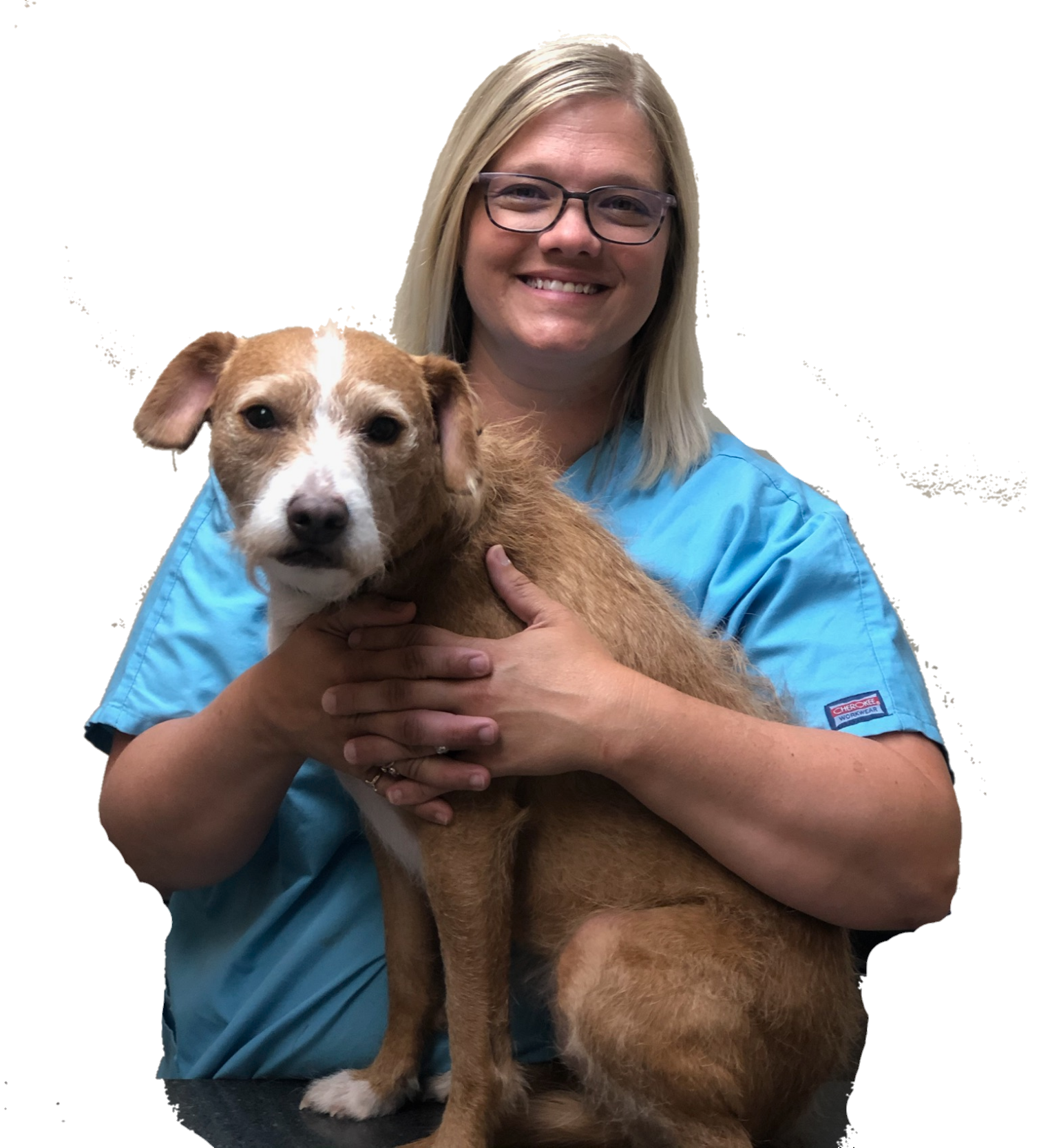 About Newton Veterinary Clinic Newton, IL Veterinarians