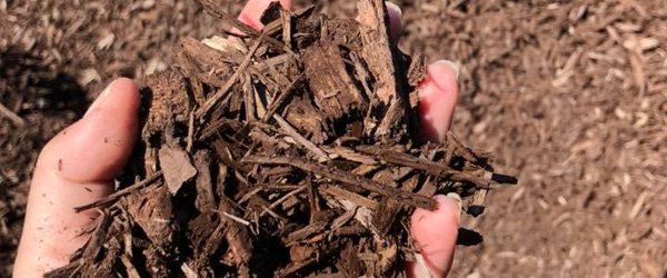 Mulch | Soil Bulk Products | Mobile, AL