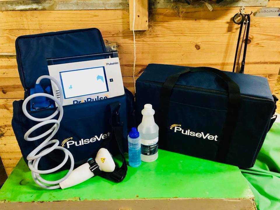 Alternative Therapies Veterinarians Canonsburg, PA