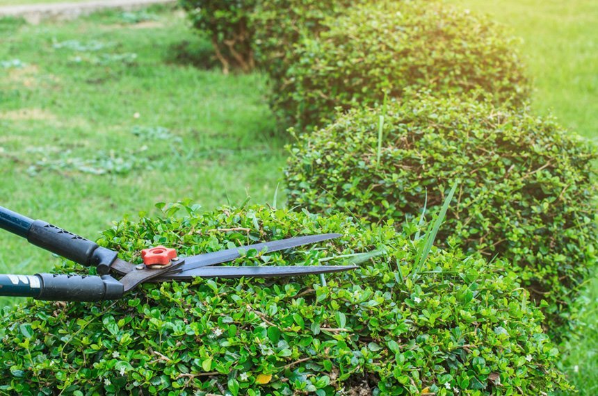 Better Blades Landscaping Lawn Care Barkhamsted, CT