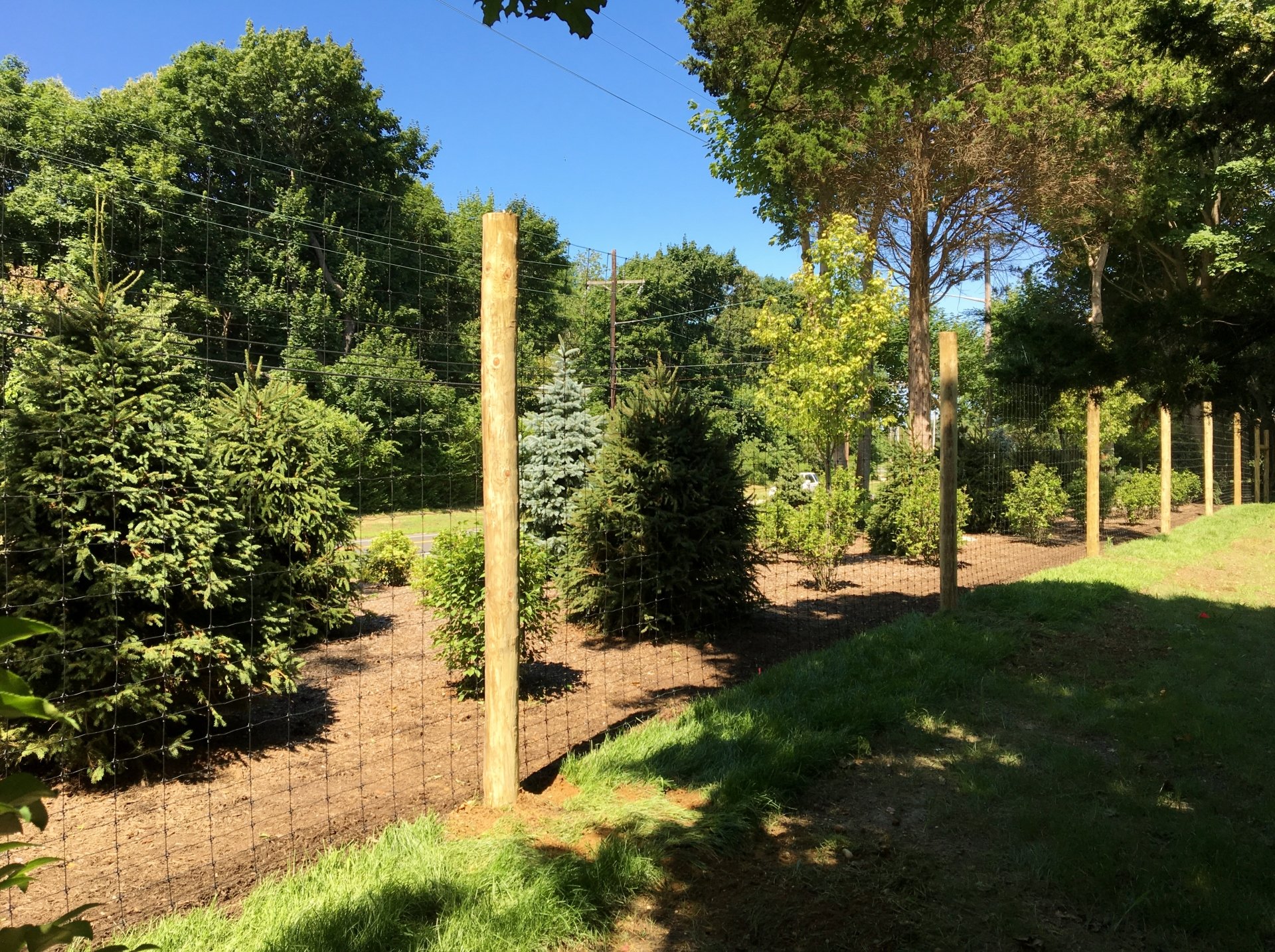 Chain Link Fence Chain Link Gates Mattituck, NY