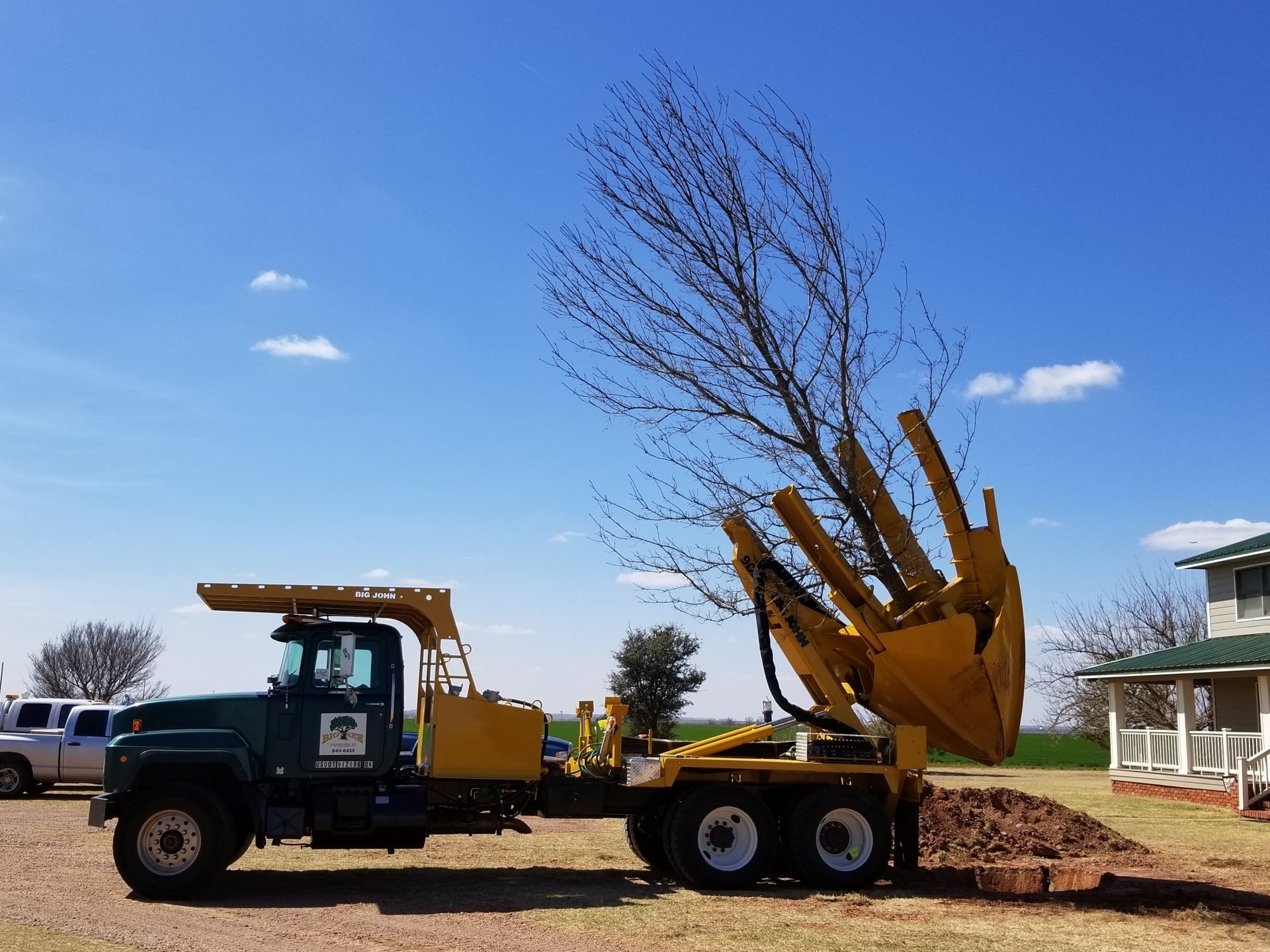 Big Tree Transplanting Transplanting Oklahoma City, OK