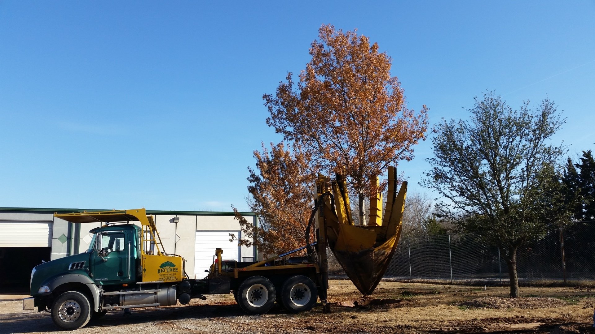 Big Tree Transplanting Photo Gallery Oklahoma City, OK